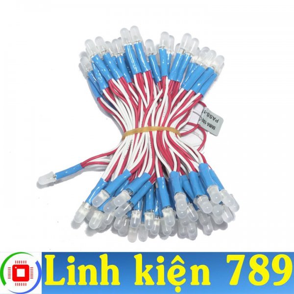 LED dây 5mm 100 bóng xanh dương